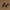 00ea28dd881d4a82b7705991c6e39efa-Max-Origin