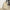 014419c6-dd91-4b61-916c-aaf9a7e52431-Max