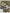 02db8f4e83784850911050399f167ef0-Max-Origin