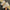 0530cbec-834c-49aa-95d6-86e628679e04-Max