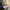 0694a9bd-ceba-4bfd-b81a-e305947106b6-Max