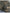 07124b73114546a7bb4a85113fa55dd9-Max-Origin