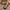 083a36066e304268a6f8559cd0ce1d50-Max-Origin