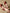 0ada37f0886040acbc869c34011ef663-Max-Origin