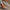 0b5b797b-9269-4d89-958c-b3fd2ef1ab37-Max-Origin