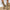 0b602d43-2f23-46c9-8755-0b13fd6ffd91-Max