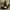 0bb72548-3b82-4e1f-9bf2-360452865210-Max