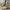 0c4d8d38-a22e-4657-bf32-84ed87ae205e-Max