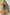 0c6dd04d-8fd4-4de6-a992-9b454a25d2a1-Max-Origin