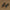0d1e757b6bc84ab99b1fba37baf6524f-Max-Origin