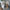 0d386d72-b437-43a1-a025-e7bb879cabba-Max-Origin