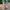 0d68721a-7491-44c5-b16e-3ac5a6b2652c-Max-Origin