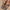 0f796382766c4b21a7c8d2e6f72d3d72-Max-Origin