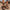 10064be81dfa468197a00891254d4d99-Max-Origin