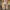 114f0a660b134c1dbd1958caad629af6-Max-Origin