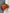1158ccf2-4947-4abf-b719-7f941efe59f7-Max
