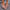 119f604aa2fd48c5bc13e8aa7d14ea6c-Max-Origin