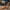 12687b21-3872-41c8-8bde-28022262244e-Max-Origin