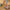 12724b91b1764b16901363f62d52c708-Max-Origin