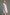 12c36087-effd-470e-a52b-7d7e62da6d30-Max-Origin