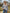 138ec38645994b0b854434c642fc0222-Max