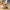14dbe826-77cf-4f2e-bc2e-5303ead89aad-Max