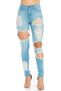 Lauren High Rise Skinny Jean