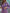 1820e6db-d8cb-4f11-9e49-a04927373a83-Max-Origin