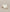 A90C201B62E66A36FA66109ACFEC4F29/18506083_7fc506ba-4bd3-459a-87dc-8fec77d4180e.jpg
