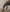 A90C201B62E66A36FA66109ACFEC4F29/18506083_92e06cf6-7c9d-41ef-9d56-07fadeb1bde9.jpg