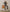A90C201B62E66A36FA66109ACFEC4F29/18527464_442738d1-e3d9-4a6c-8ac3-6f33206d59c1.jpg