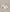 A90C201B62E66A36FA66109ACFEC4F29/18527464_aae88ca5-b61f-4897-a5f2-73f0b3ea924c.jpg