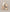 A90C201B62E66A36FA66109ACFEC4F29/18528723_d67e6c65-dc73-4d38-a83d-62fc2036c04f.jpg