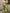 187c6b5813474fe79c9bb2d66388be35-Max-Origin