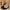 1890b182076746a29f7d8d827dfc06ec-Max-Origin