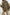 194535eb-5417-4e03-a2a3-09f1148041a0-Max