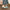 1998aad1bd5d45809acd46617232e941-Max-Origin