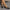 1a8e30e5237d415d954f075de4ab58a6-Max-Origin