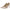 1c766ee7-cea8-4a02-9386-2c3e5bc898e7-Max