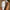 1d6dc299137b474fa1d159e527d81c37-Max-Origin