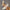 1e4e70229391465aa924351f2b95ba01-Max-Origin