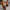 20037c8e-537f-409a-b37e-e4d0a2da48fb-Max