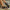 21858535c5204df08216e87fa47082d9-Max-Origin