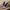 2222feb6-d87c-4095-904c-d6e9f8ea63a4-Max-Origin