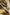 19D156A383694F18B7C408327EAB87FF/23295186_9501d5a5-ae1a-48fc-ba7a-b9de2abb241f.jpg