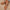 23455c17482644b99b213aac891efbd7-Max-Origin
