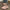 241e2ef73ab14cba986e8b7014946b60-Max-Origin