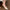246cbcb6-88b7-4655-85fd-ad7965e24e2e-Max