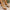 24fbf66167de4c119b233783cc1ca3a3-Max-Origin