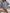 2556c1ec5451430794fee7ef8dcf8a95-Max-Origin